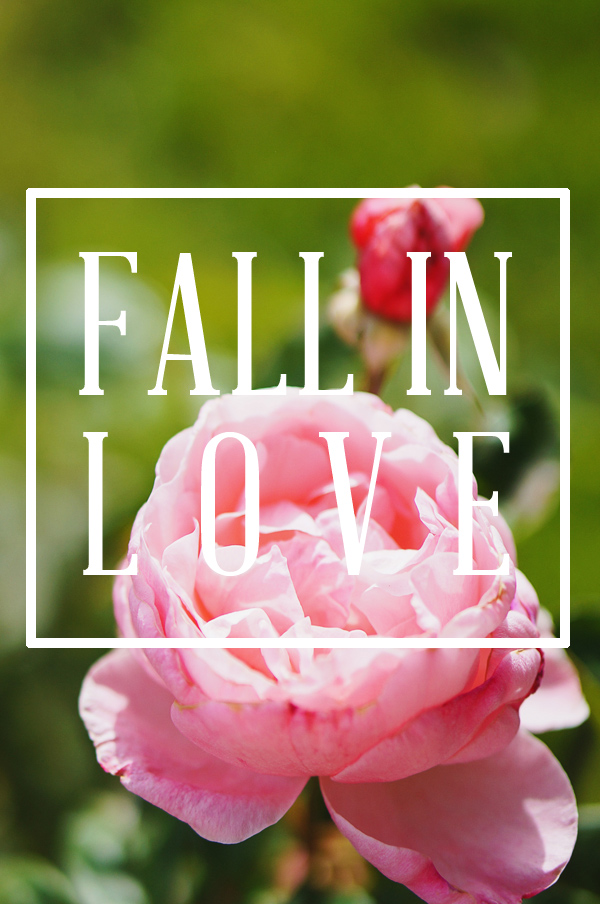 fall-in-love-life-advice