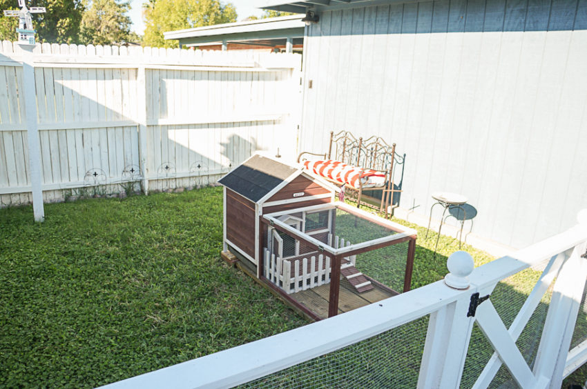 rabbitrunhutchbunnieschickencooprunareaideas112 Diana Elizabeth