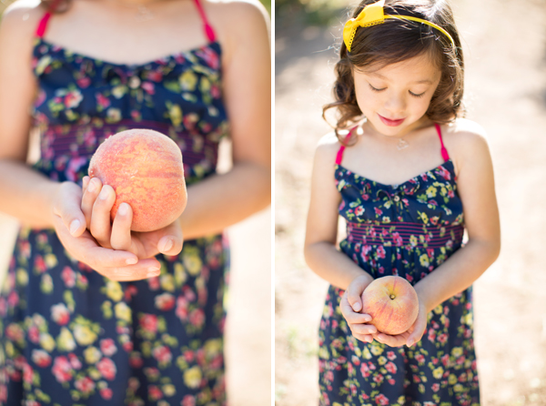 schnepf-farms-peach-orchard-fruit-shoot-picking-diana-elizabeth-photography-001