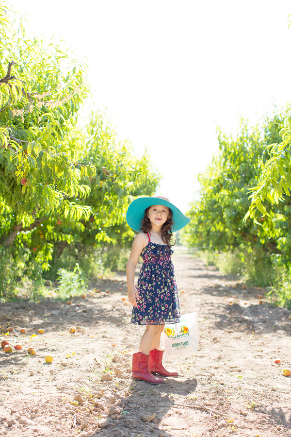 schnepf-farms-peach-orchard-fruit-shoot-picking-diana-elizabeth-photography-010
