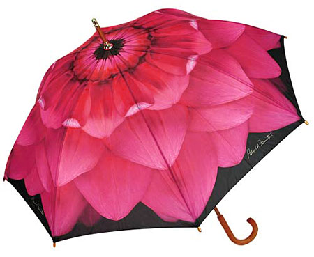 hf3318-pink-dahlia-umbrella