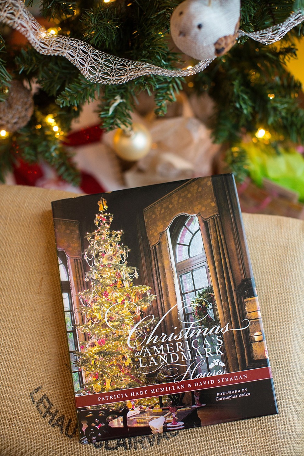Christmas at America's Landmark Houses - Diana Elizabeth