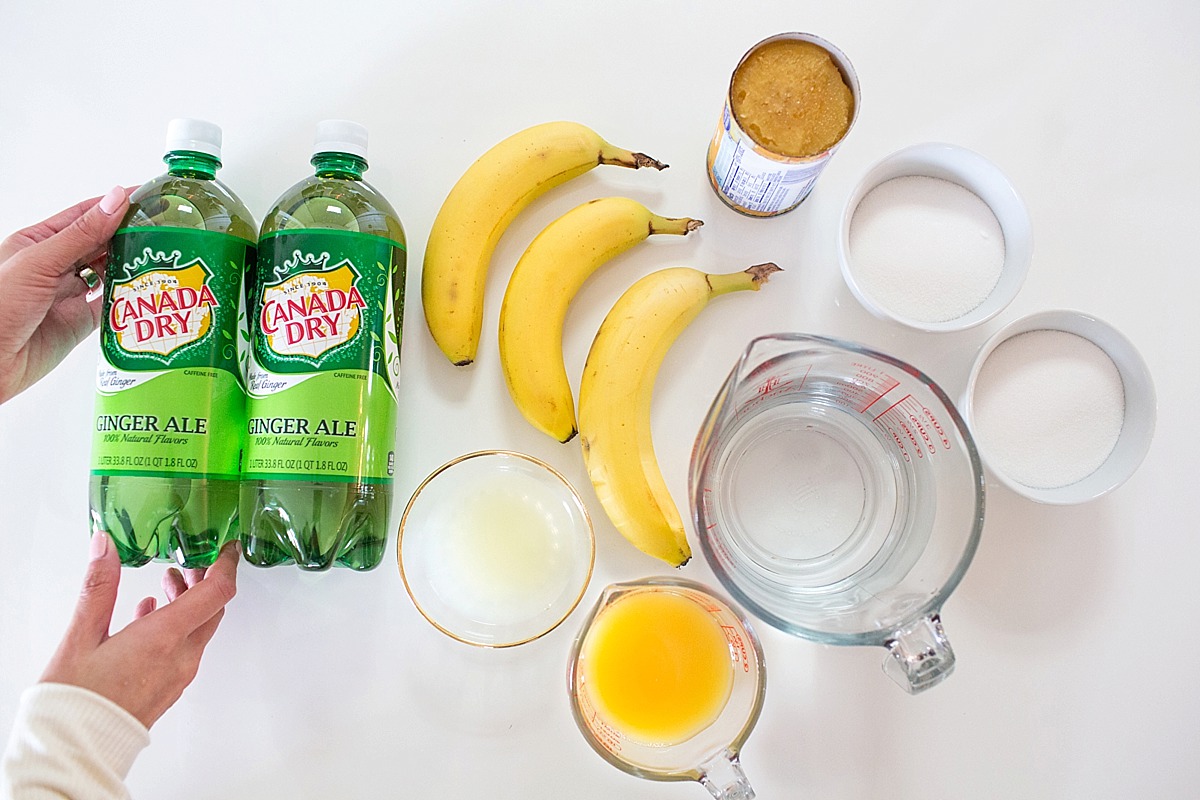ginger-ale-canada-dry-punch-party-holidays-citrus-pineapple-bananas-recipie-easy-quick-1283