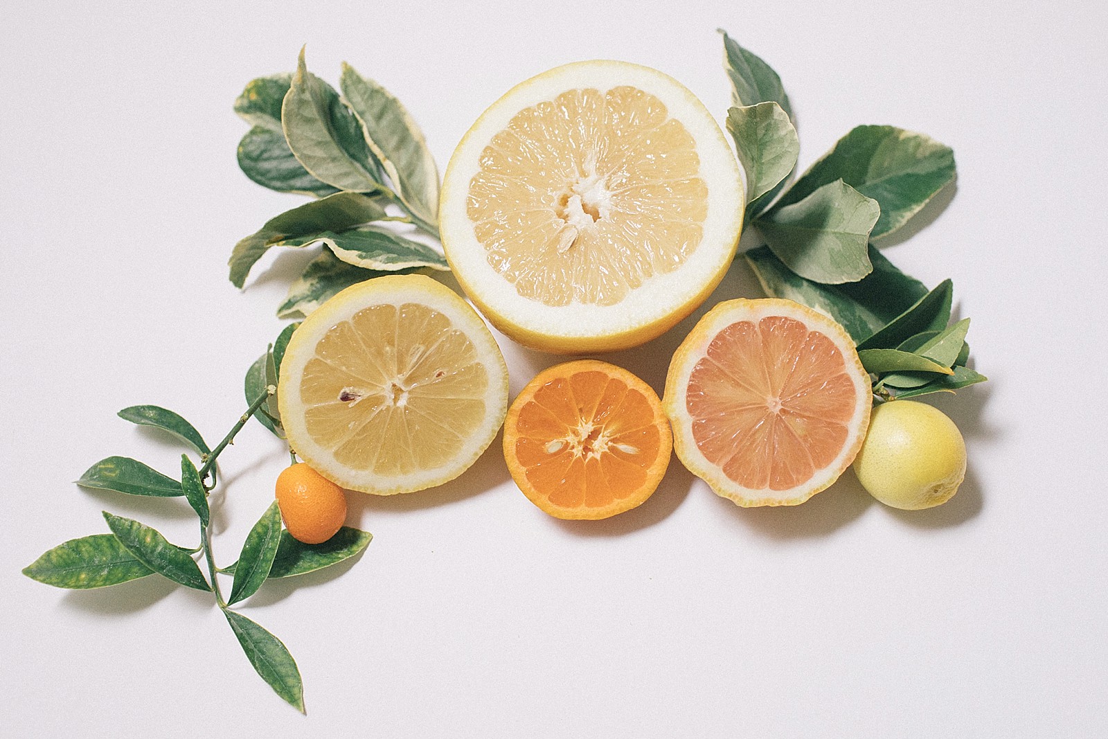 food photography citrus pink lemon grapefruit