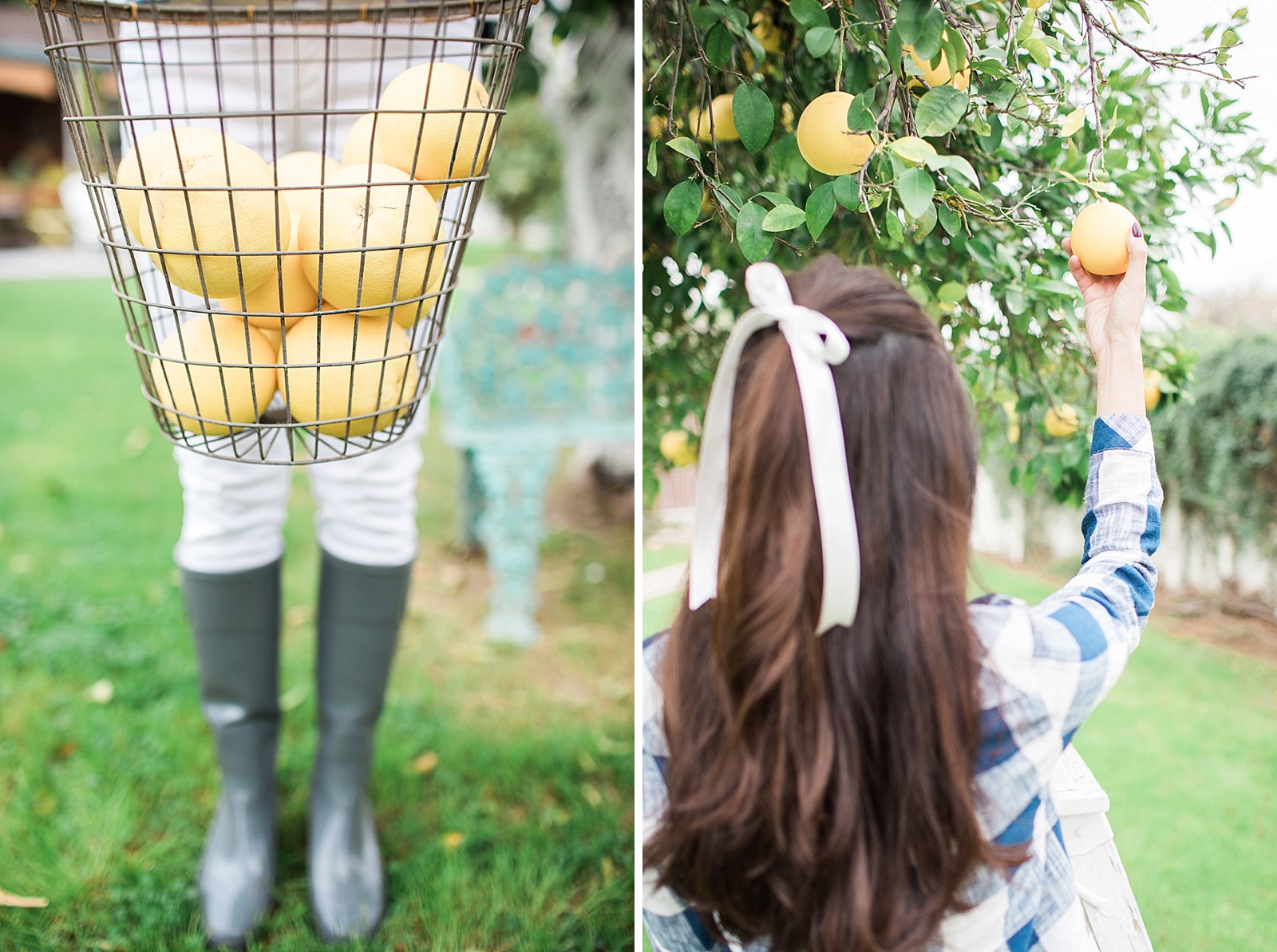 cloth and stone gingham button-back top anthropologie grapefruit picking fashion blogger phoenix lifestyle blogger hunter wedges wedge boots