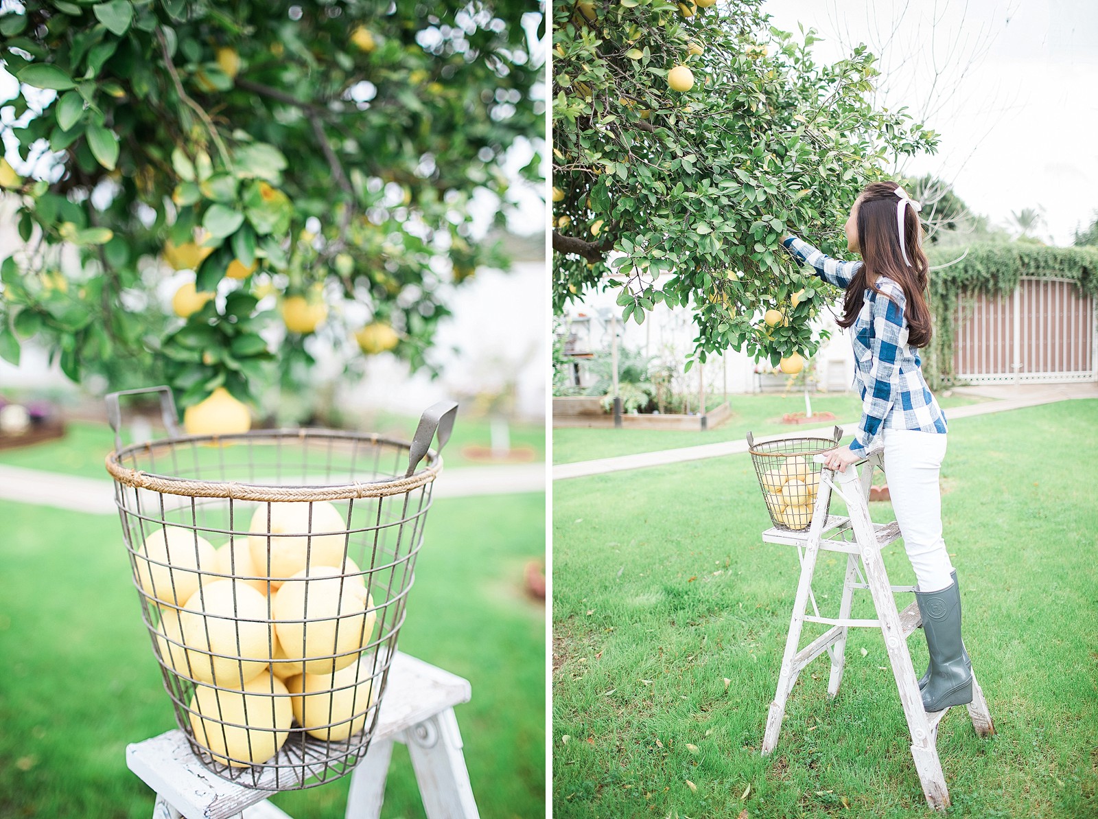 cloth and stone gingham button-back top anthropologie grapefruit picking fashion blogger phoenix lifestyle blogger hunter wedges wedge boots