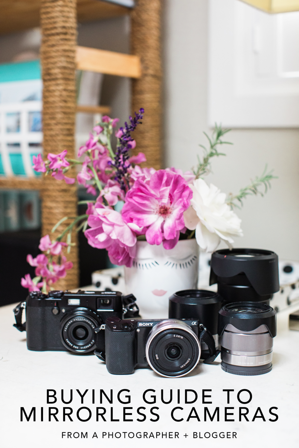 FAQ Guide to buying a mirrorless camera Diana Elizabeth