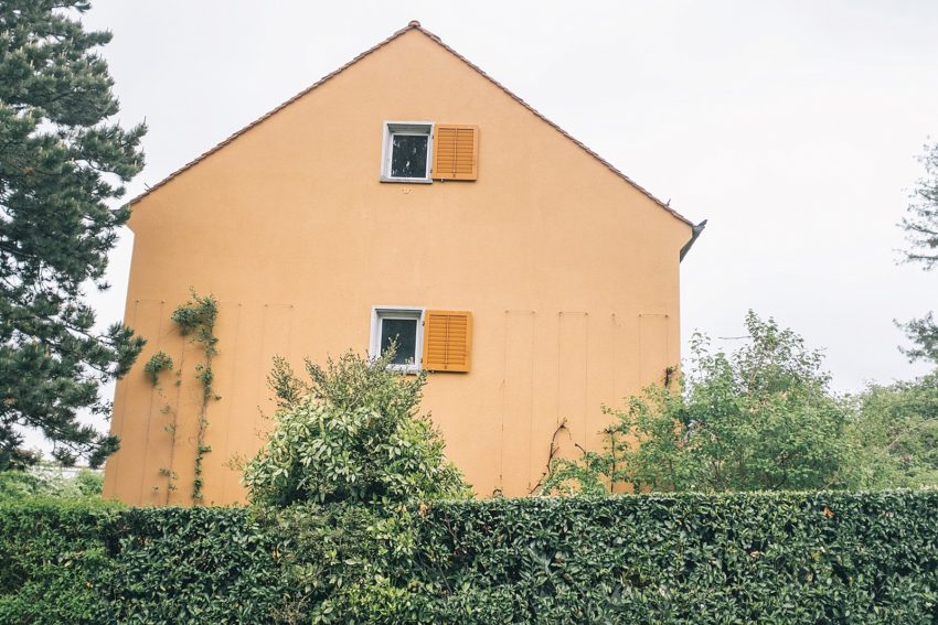 How to create a wire trellis for climbing plants Diana Elizabeth