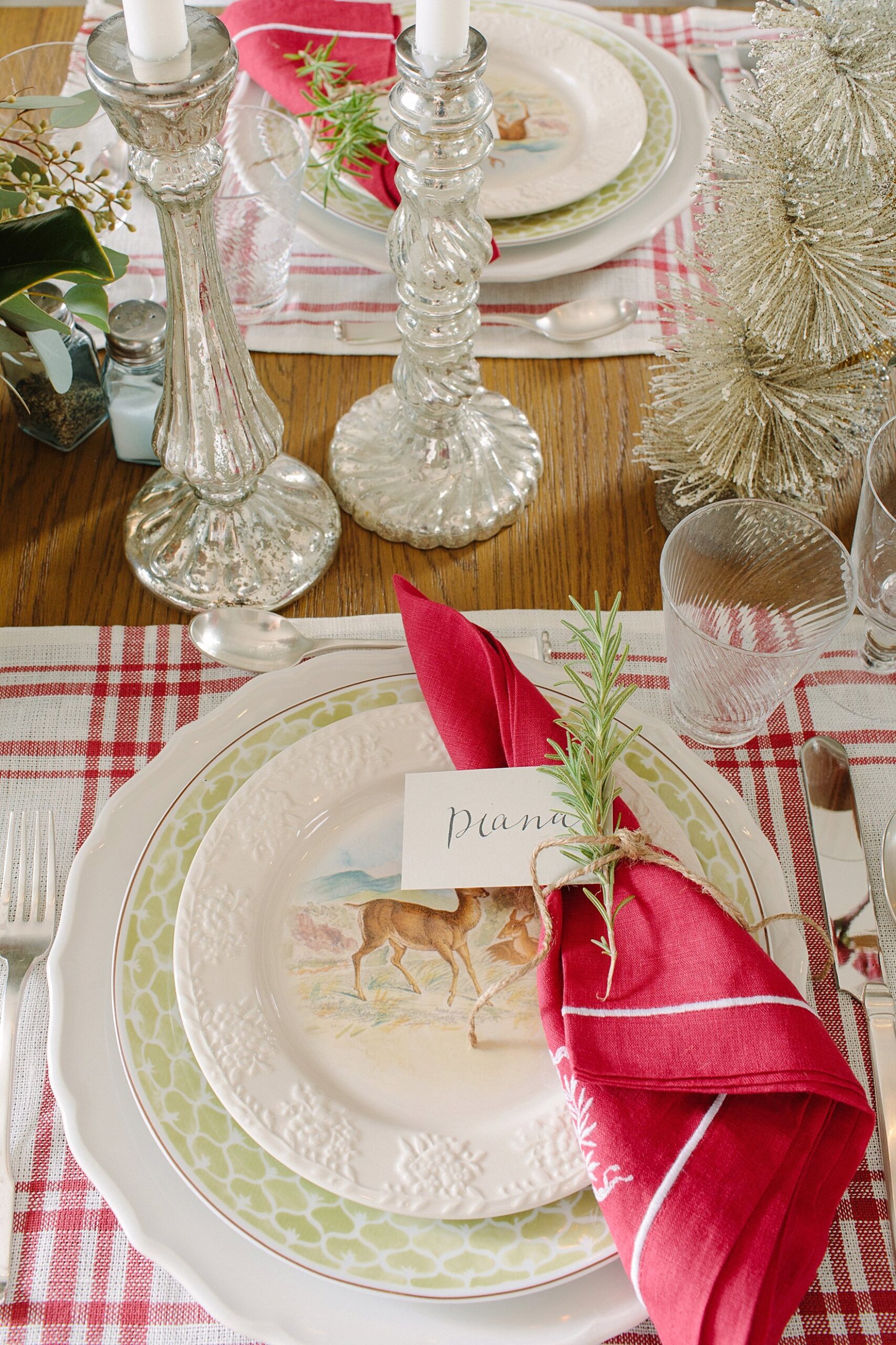 dianaelizabethblogballarddesignsholiday2017collaboration4096