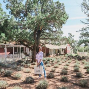 Pine Creek Lavender Farm - things to do in Pine and Strawberry Arizona