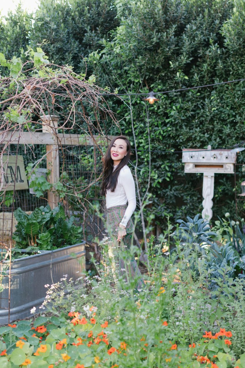 Boho Farm and Home Dinner theme Spain in backyard tapas. Walking in the garden by the chicken coop