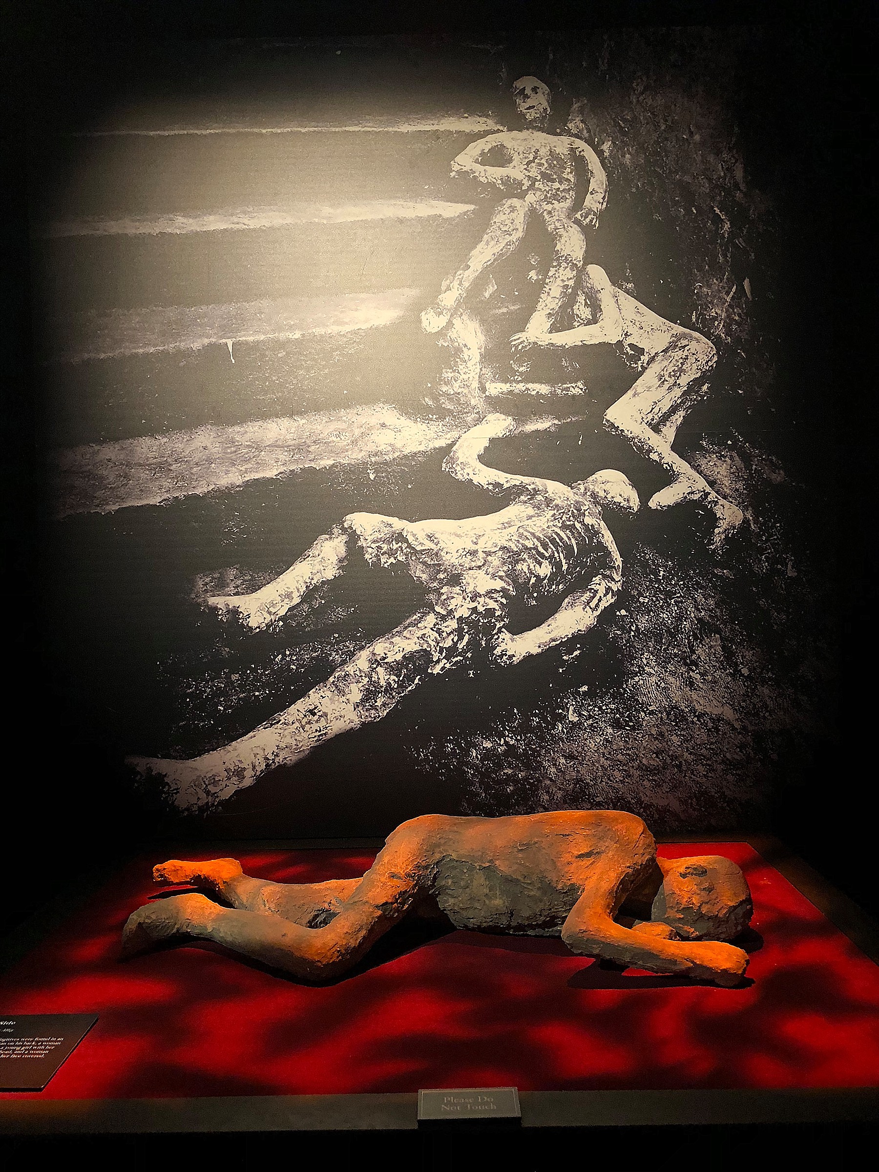 Pompeii exhibition in Phoenix at Arizona Science Museum