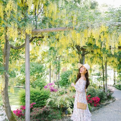 butchart gardens in Victoria Canada wearing floral strapless dress Tahari ASL on blogger Diana Elizabeth
