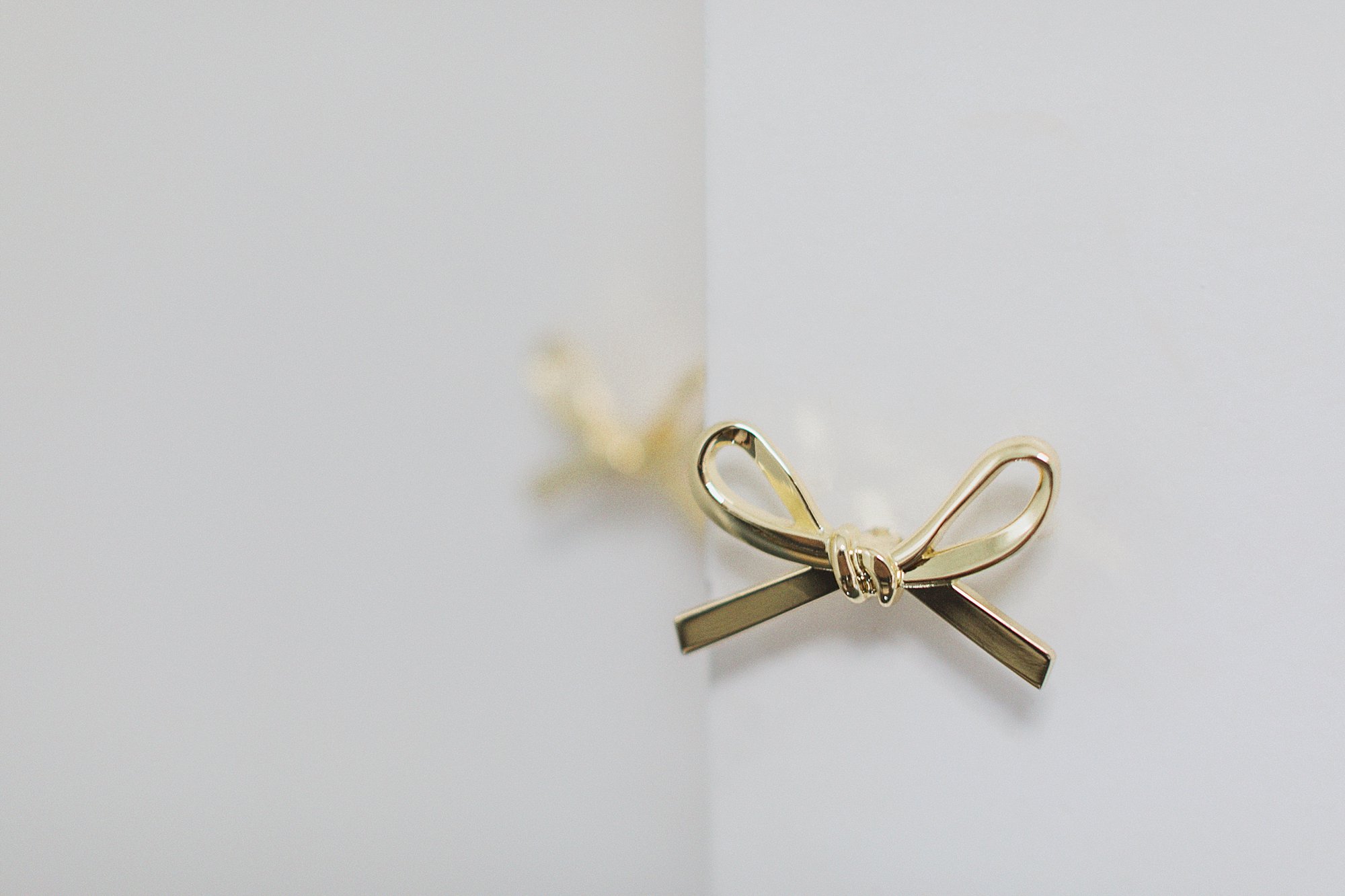 gold bow knob on closet doors