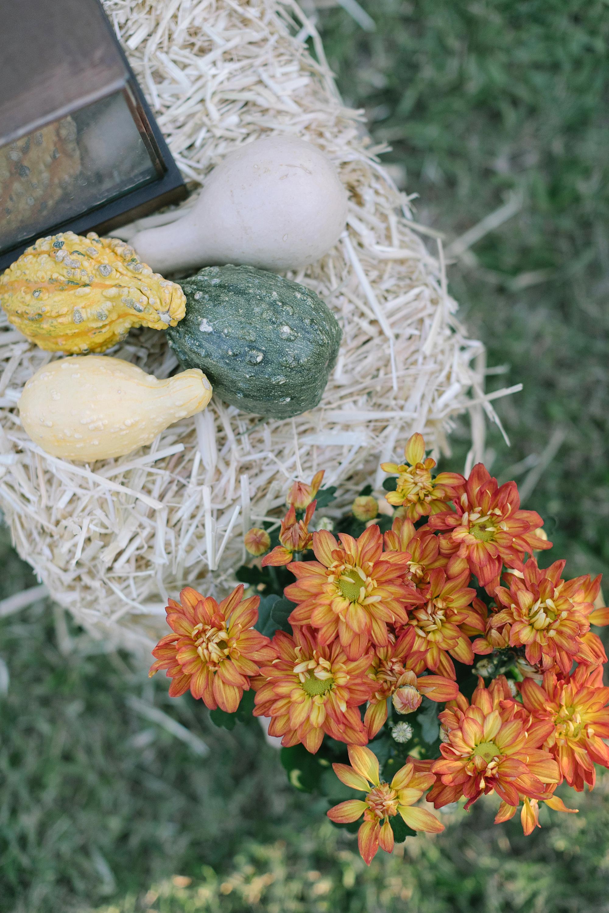 gourds on hay bales for fall decor outdoor backyard party wine party #party #fallparty