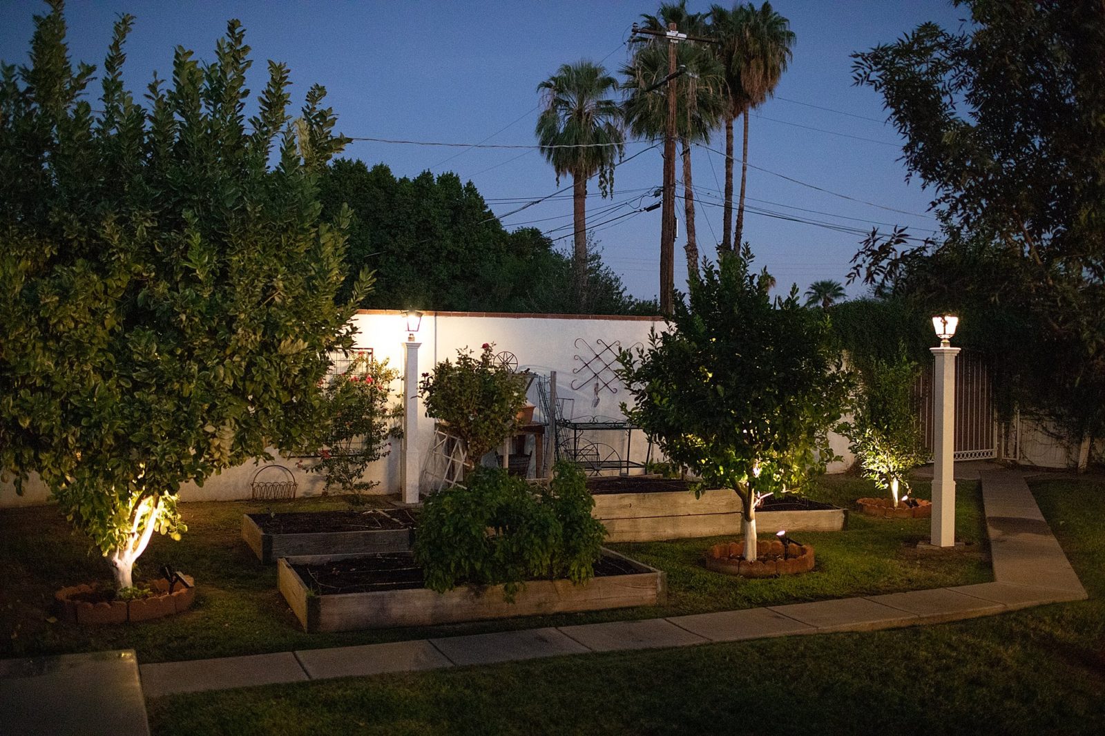 solarlightsphoenixhowtohangcafelights8338 Diana Elizabeth