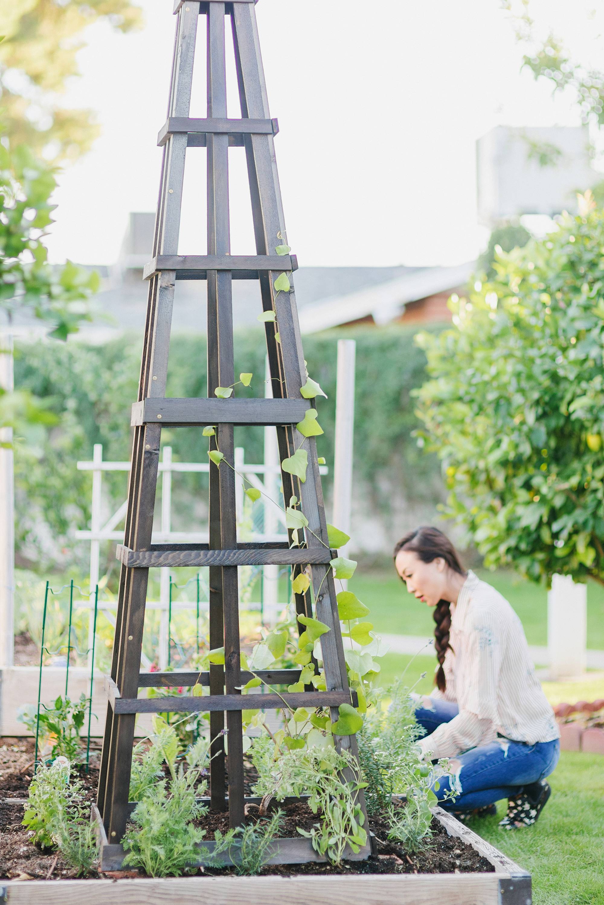 garden obelisk from gardeners in graphite gray stain by phoenix lifestyle garden blogger Diana Elizabeth 