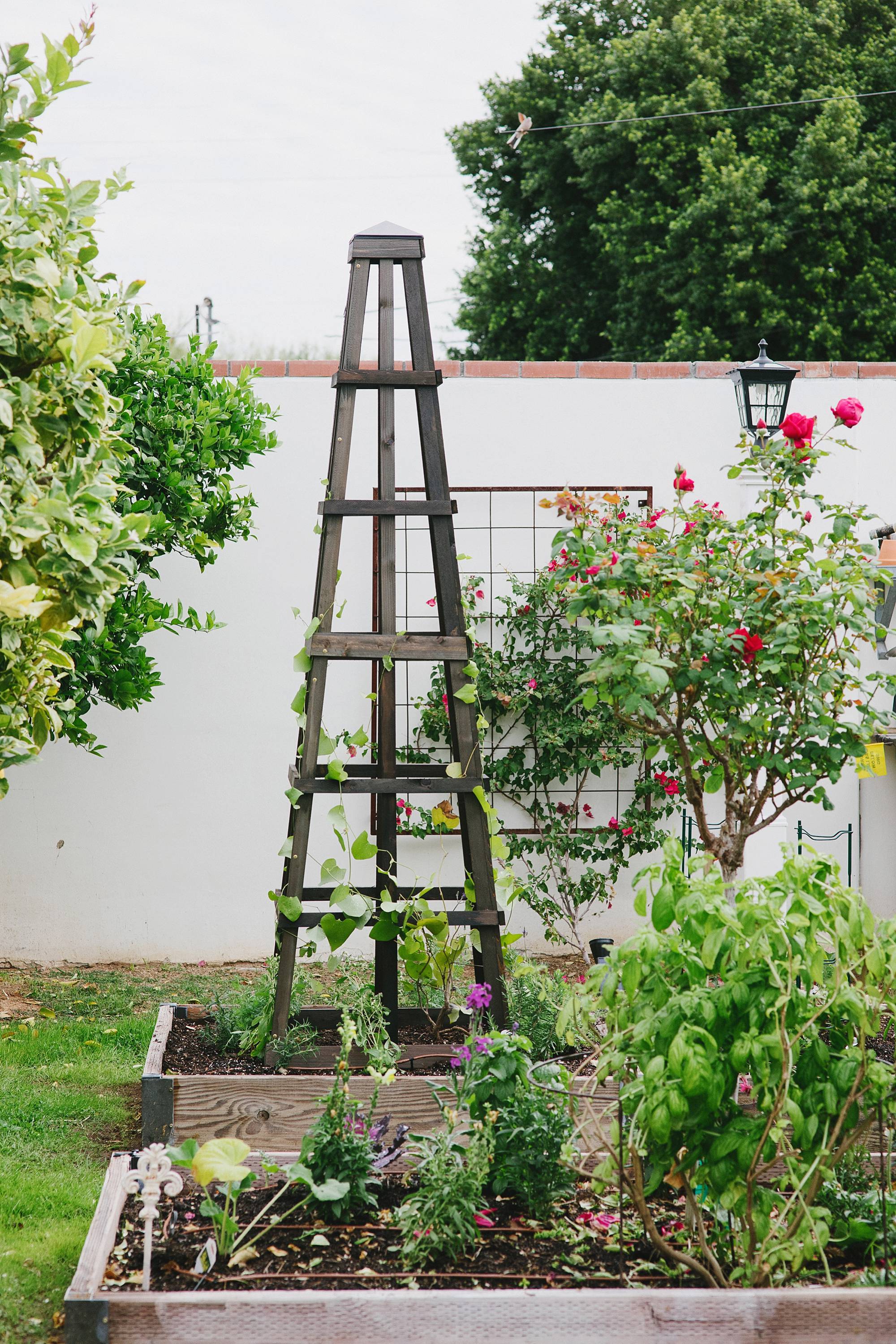 garden obelisk from gardeners in graphite gray stain by phoenix lifestyle garden blogger Diana Elizabeth 