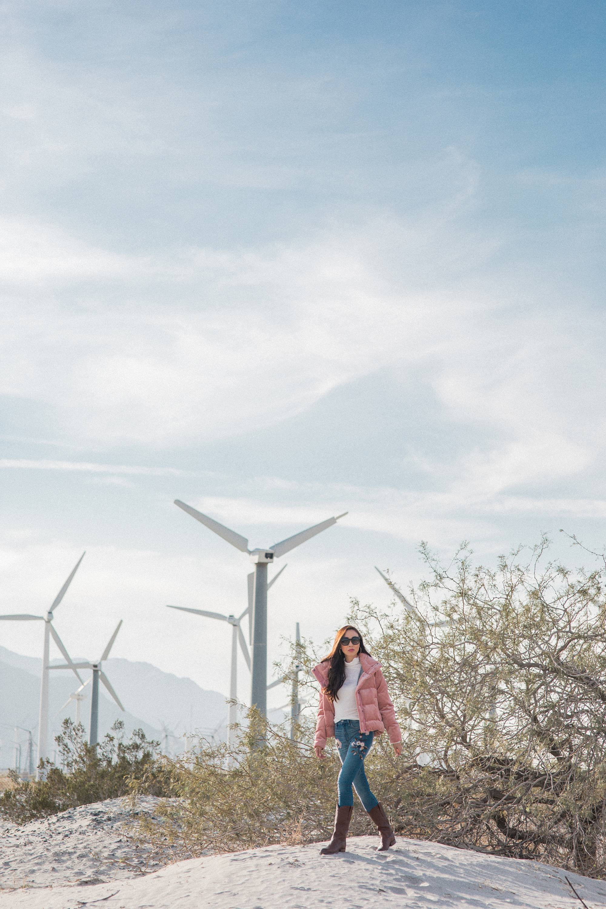 Palm Springs windmills windmill tour pink velvet puffer jacket embroidered floral jeans Abercrombie and tecovas boots on Phoenix lifestyle blogger Diana Elizabeth