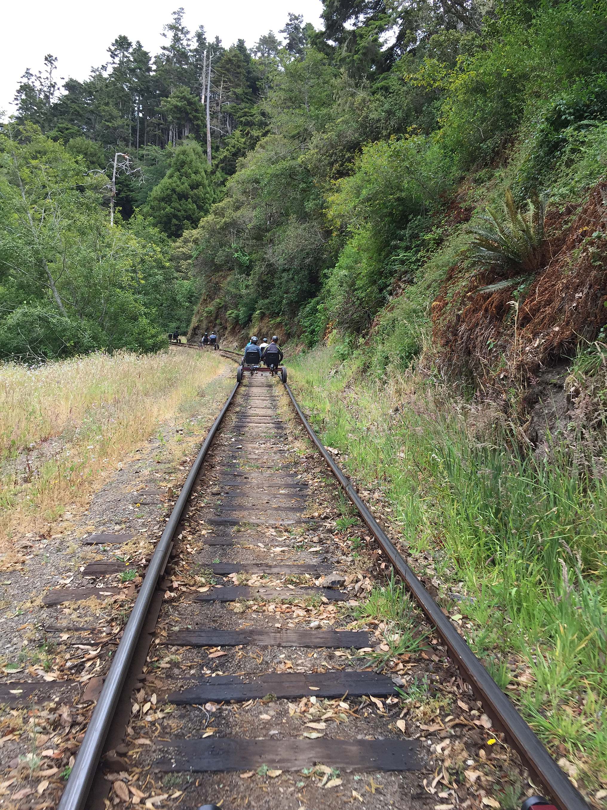rail biking on skunk train rails