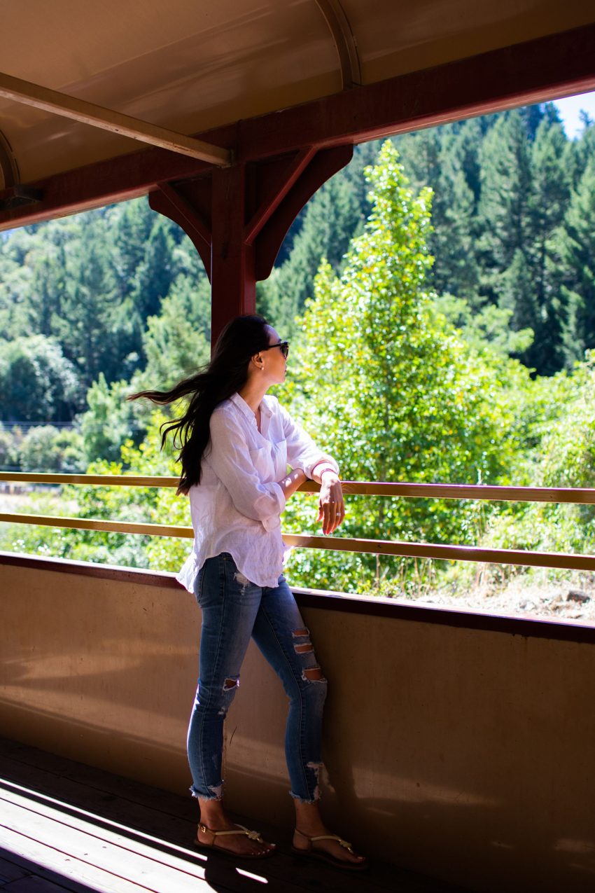 Enjoying the skunk train ride in the redwoods