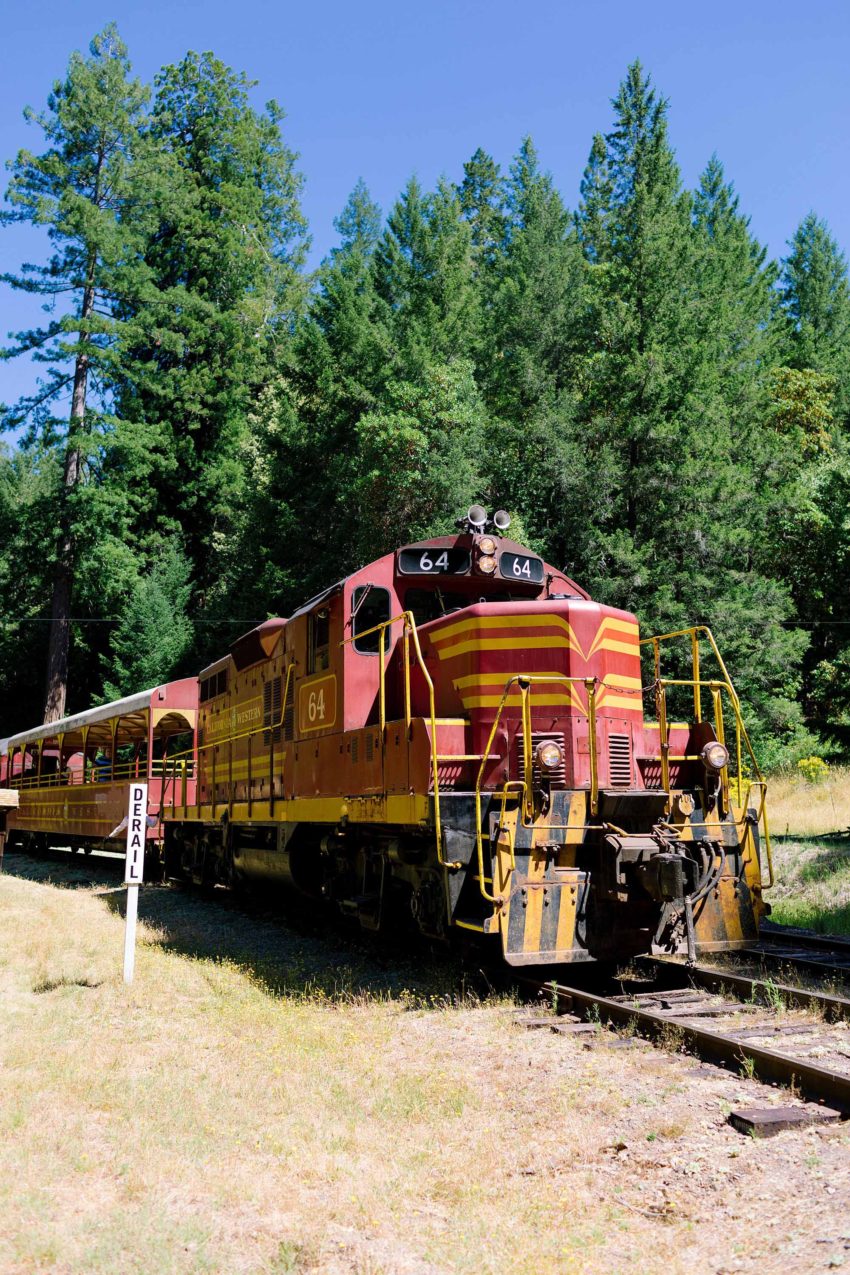 skunk-train-mendocino-county-coast-california-fort-bragg-8615 - Diana