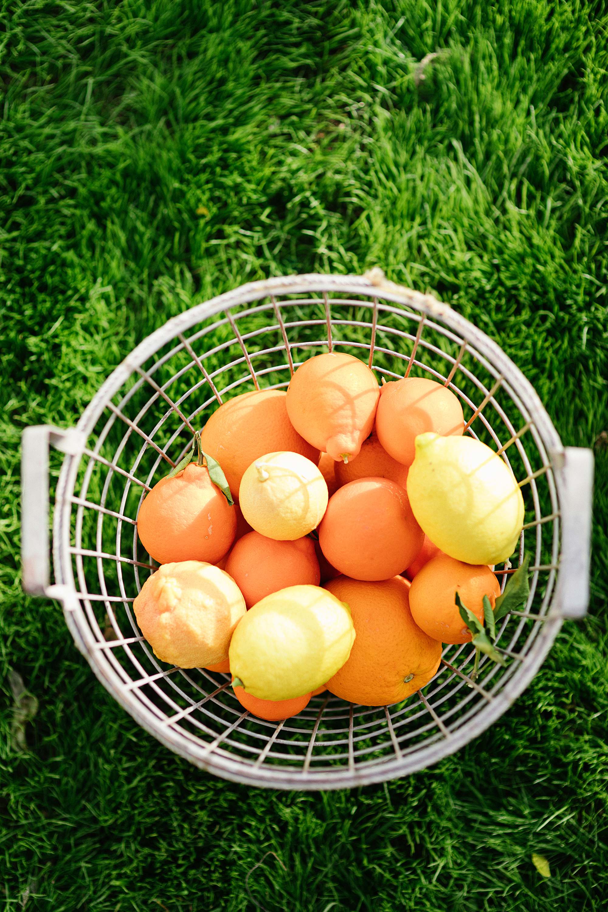 lemons and oranges in wire basket