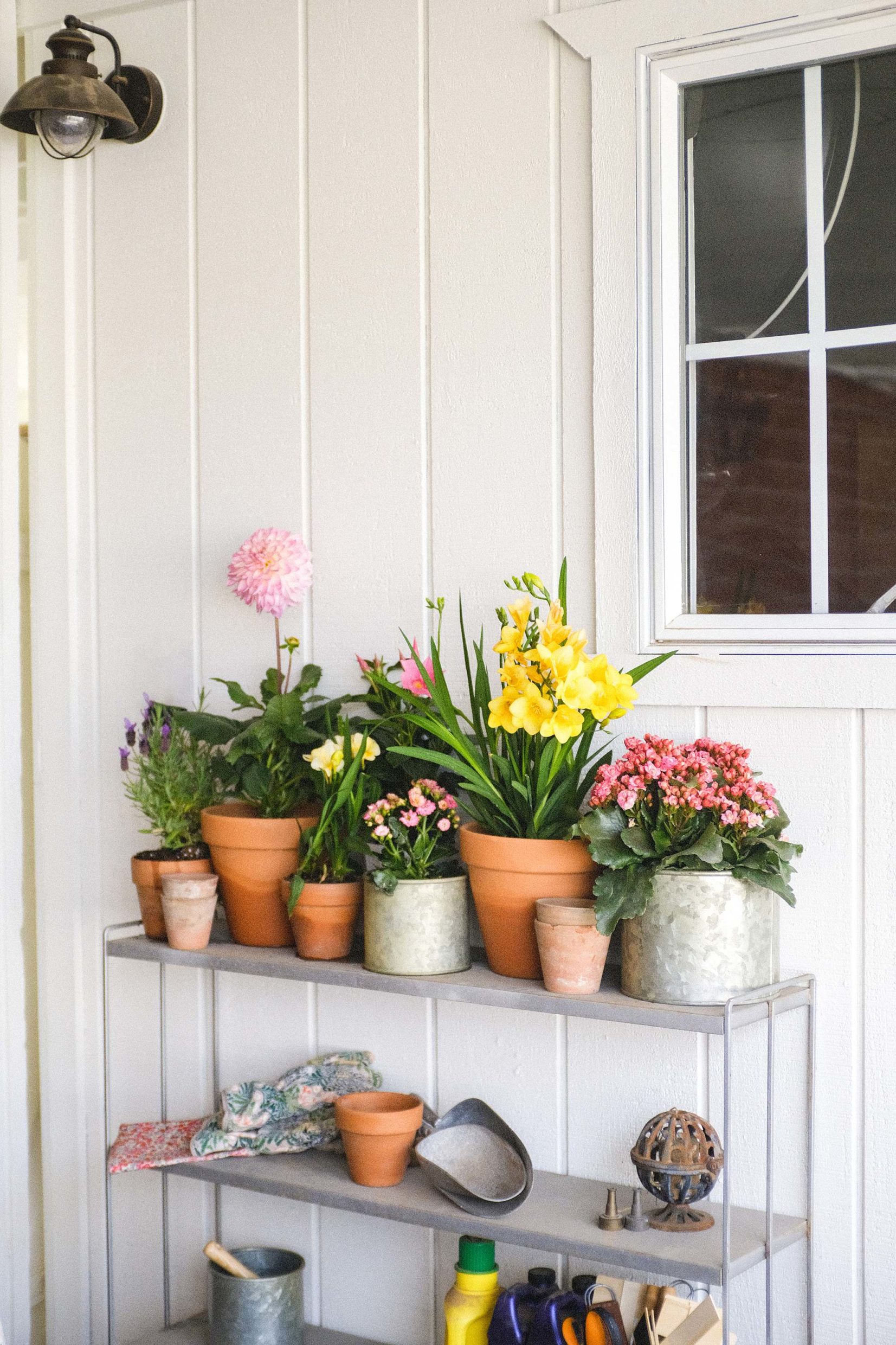 flowers in galvanized and terra-cotta pots on pot planter stand against white toolshed