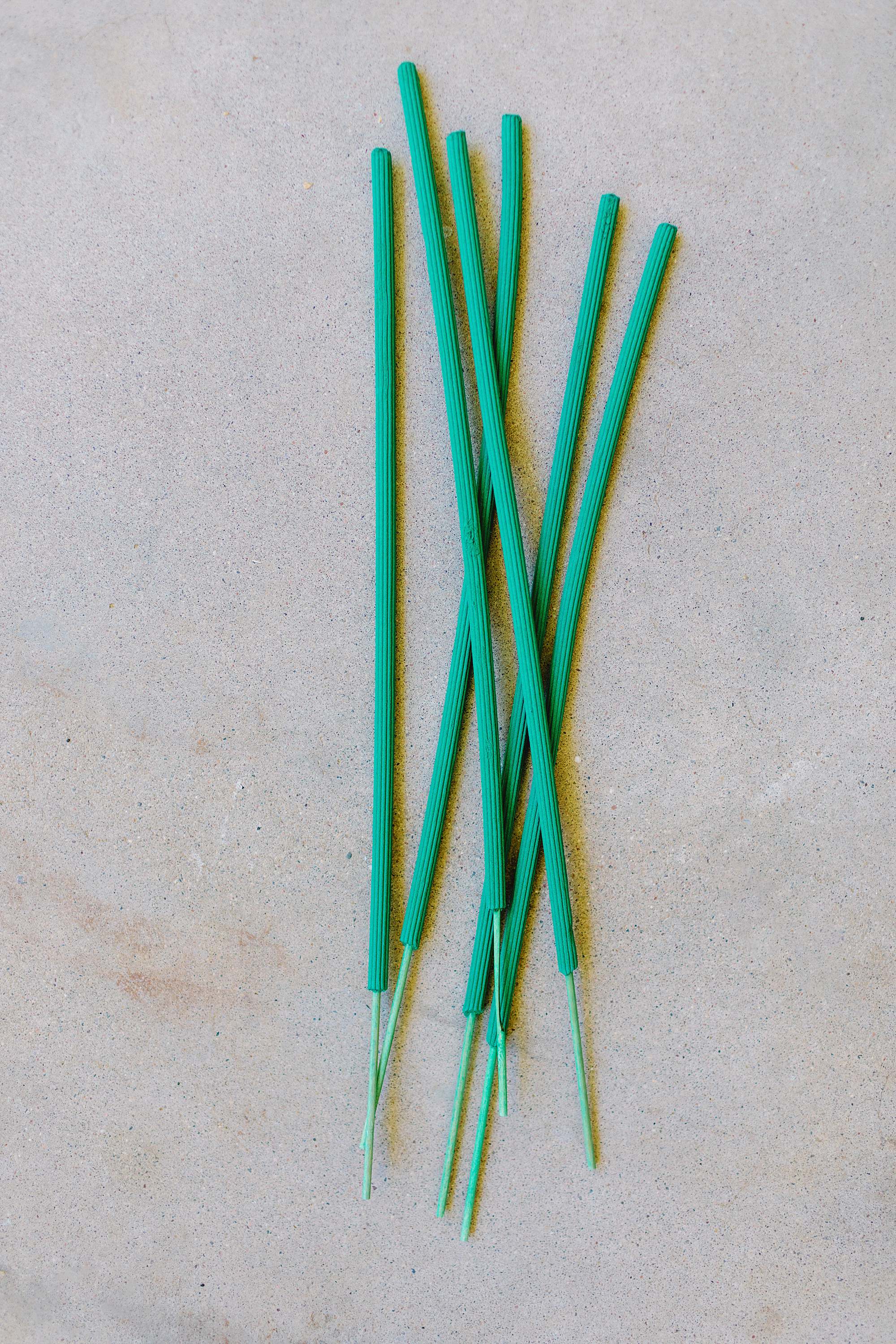 citronella sticks 8 must-have gardening tools found at the 99 cents store - save money so you can buy more plants! #gardeningtips