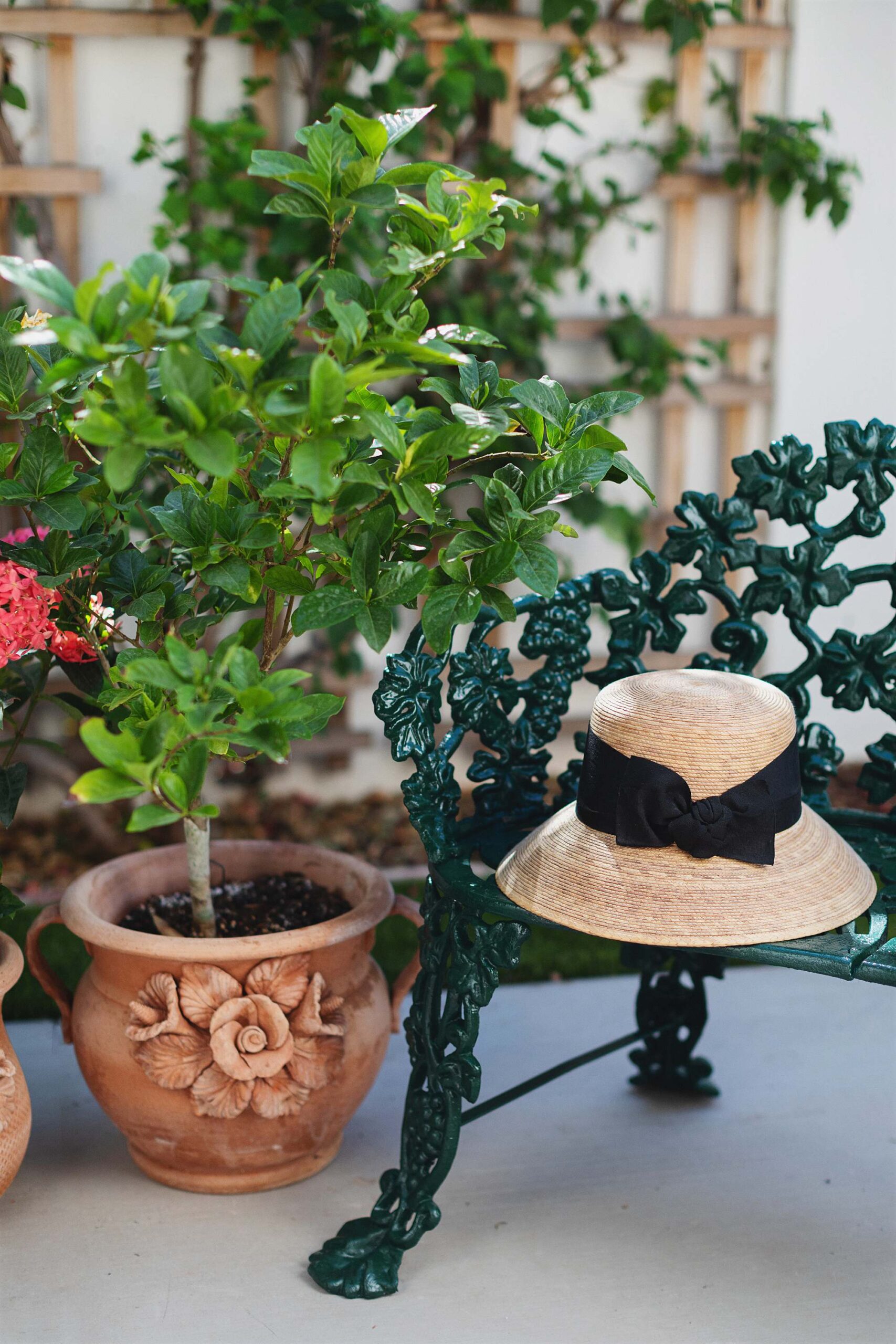 cast iron benches, garden hat on top of them painted dark hunter green