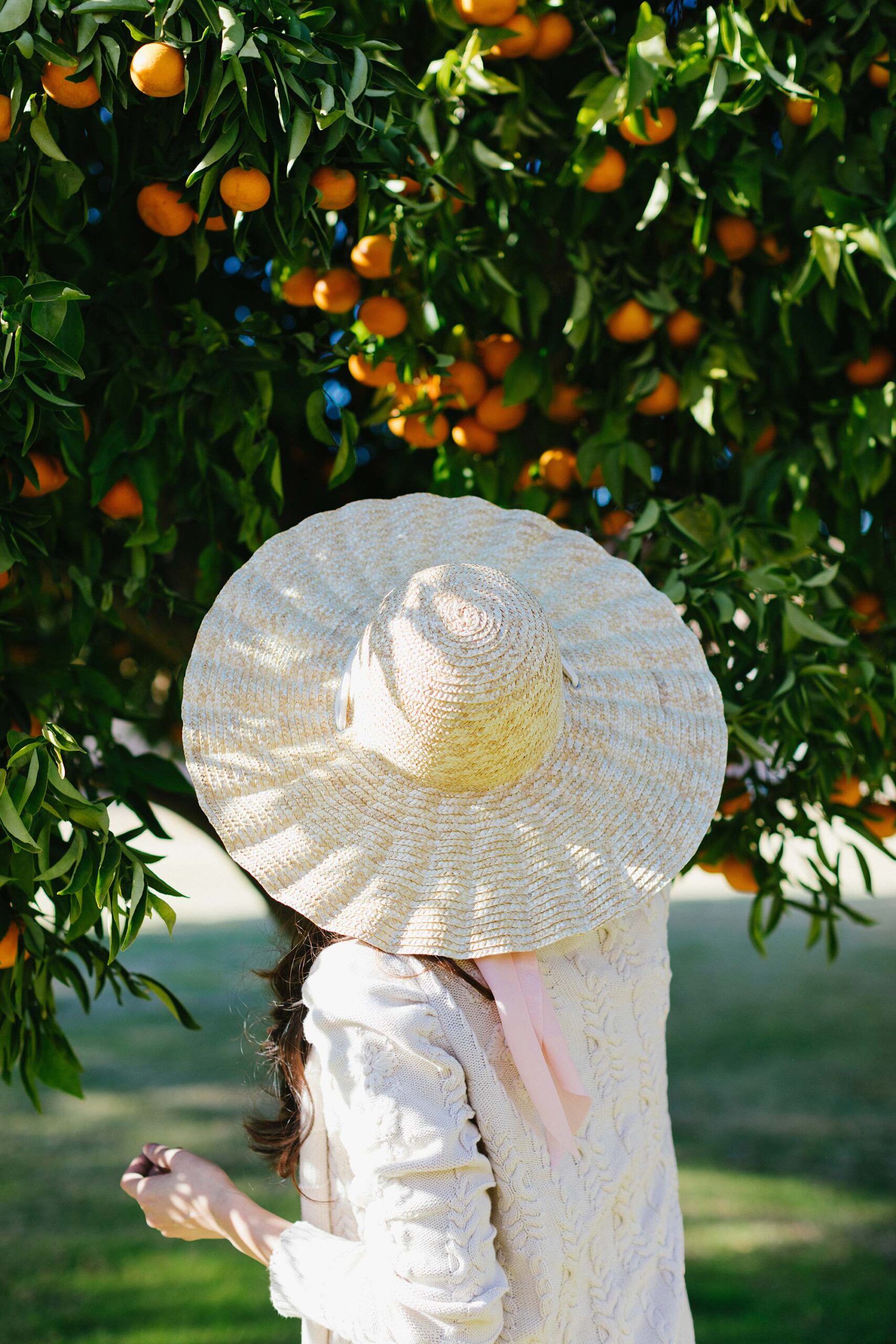 citrus picking woman in knit cardigan by odd Molly holding a chicken pose. A citrus story on the blog. Paper bag denim outfit