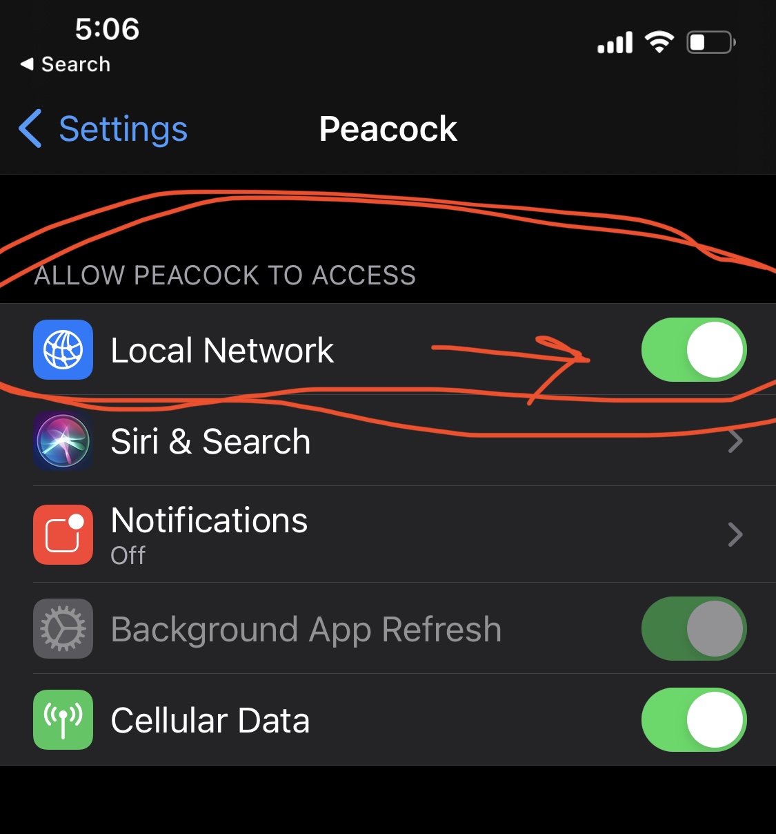 How to use Peacock App to Chromecast – Problem fixed! – Diana ...
