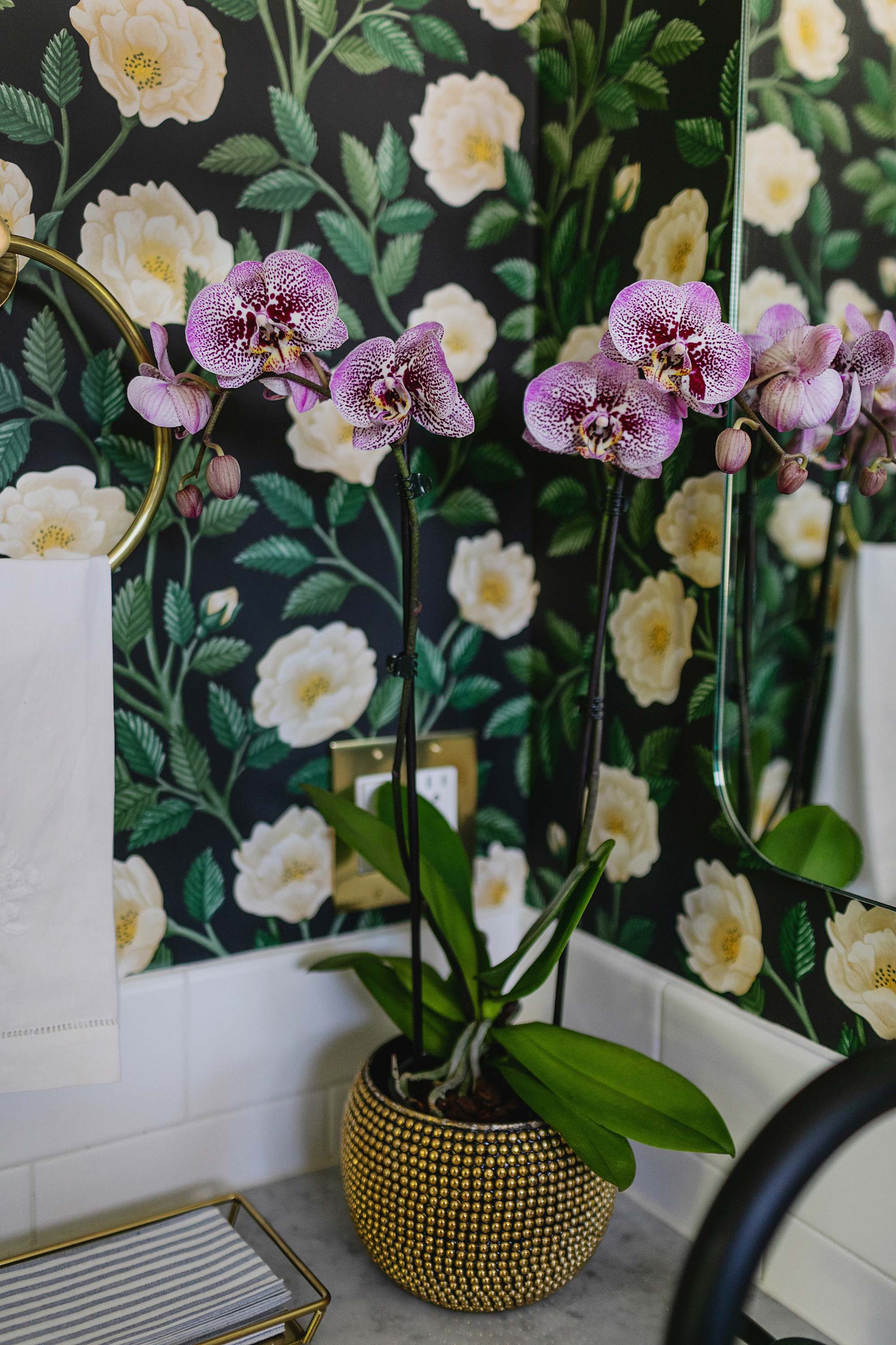 purple orchid in guest powder bath on counter