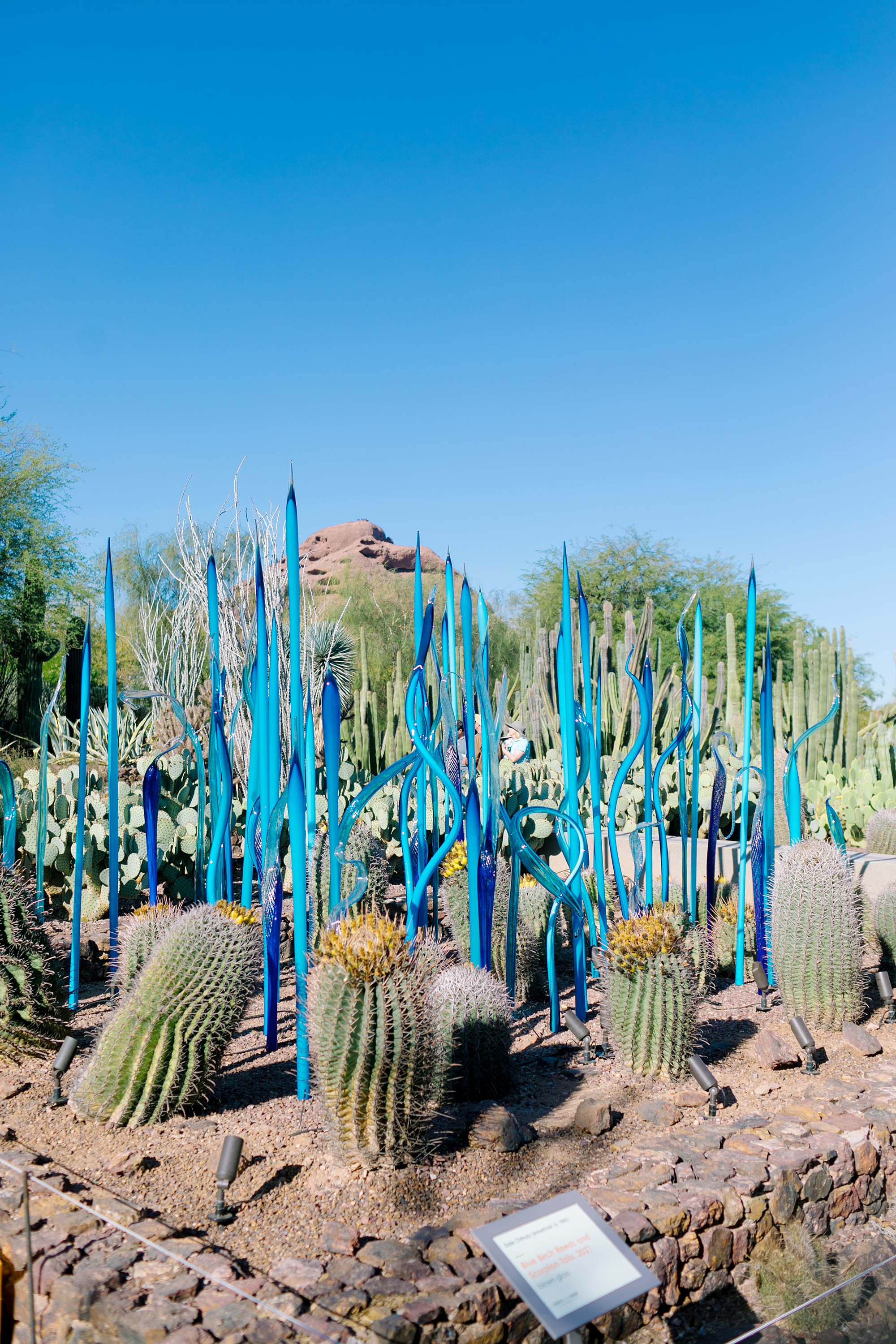 Chihuly in the desert 