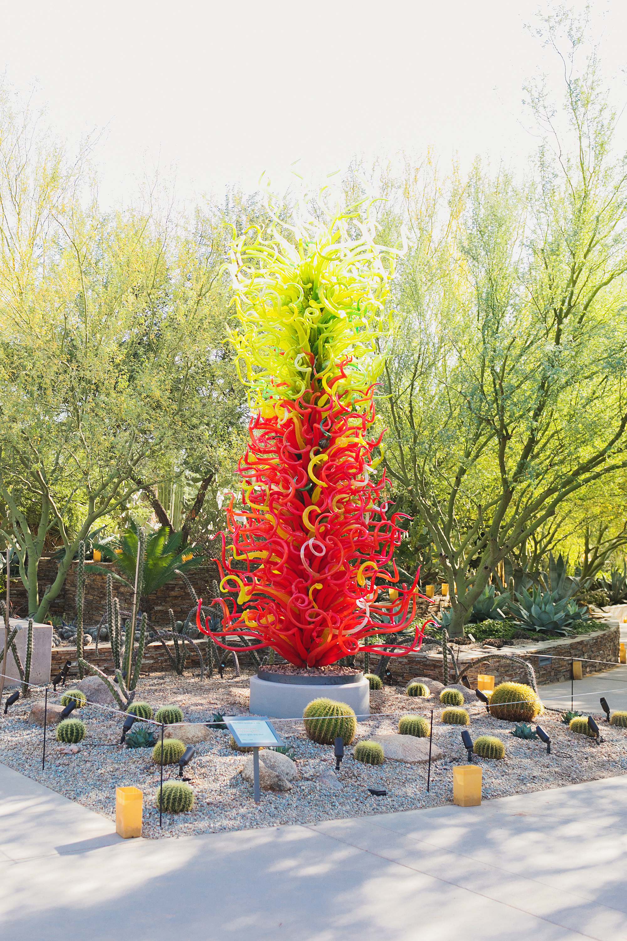 glass blowing art Things to do in Phoenix Scottsdale Chihuly in the Desert