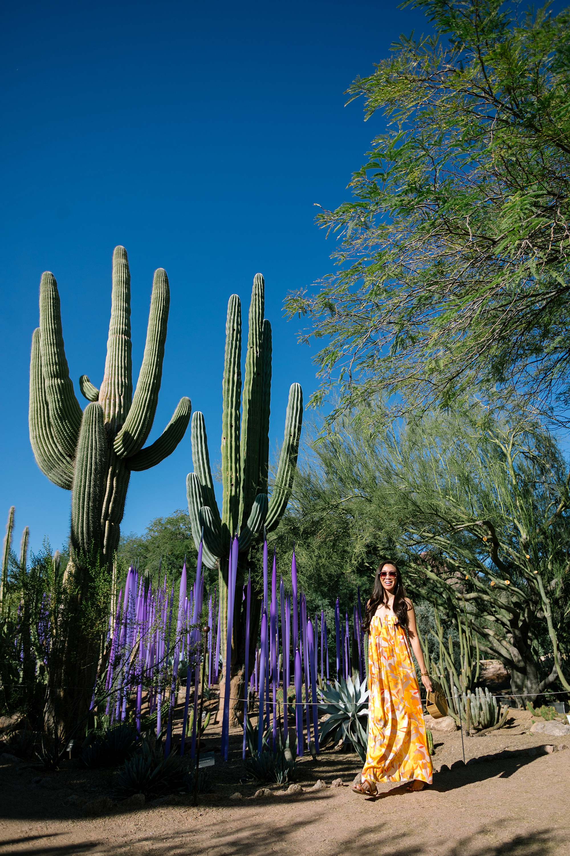 Things to do in Arizona 2022 Chihuly in the Desert 