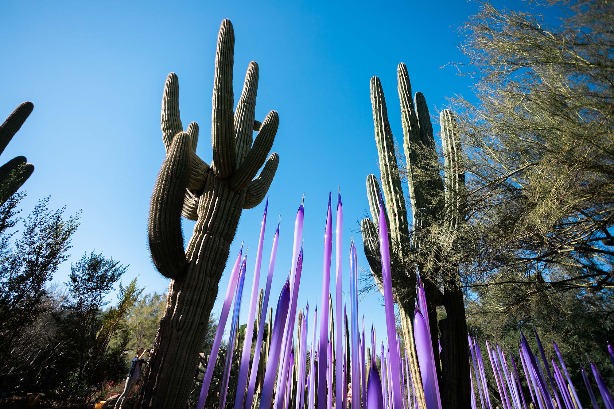 Things to do in Phoenix 2022 