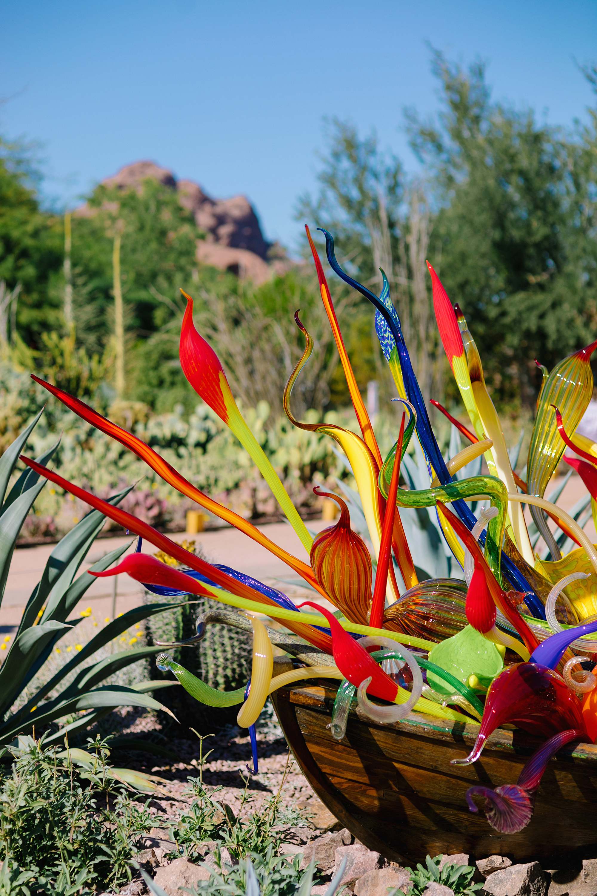 Chihuly art glass blown art exhibition in phoenix Arizona