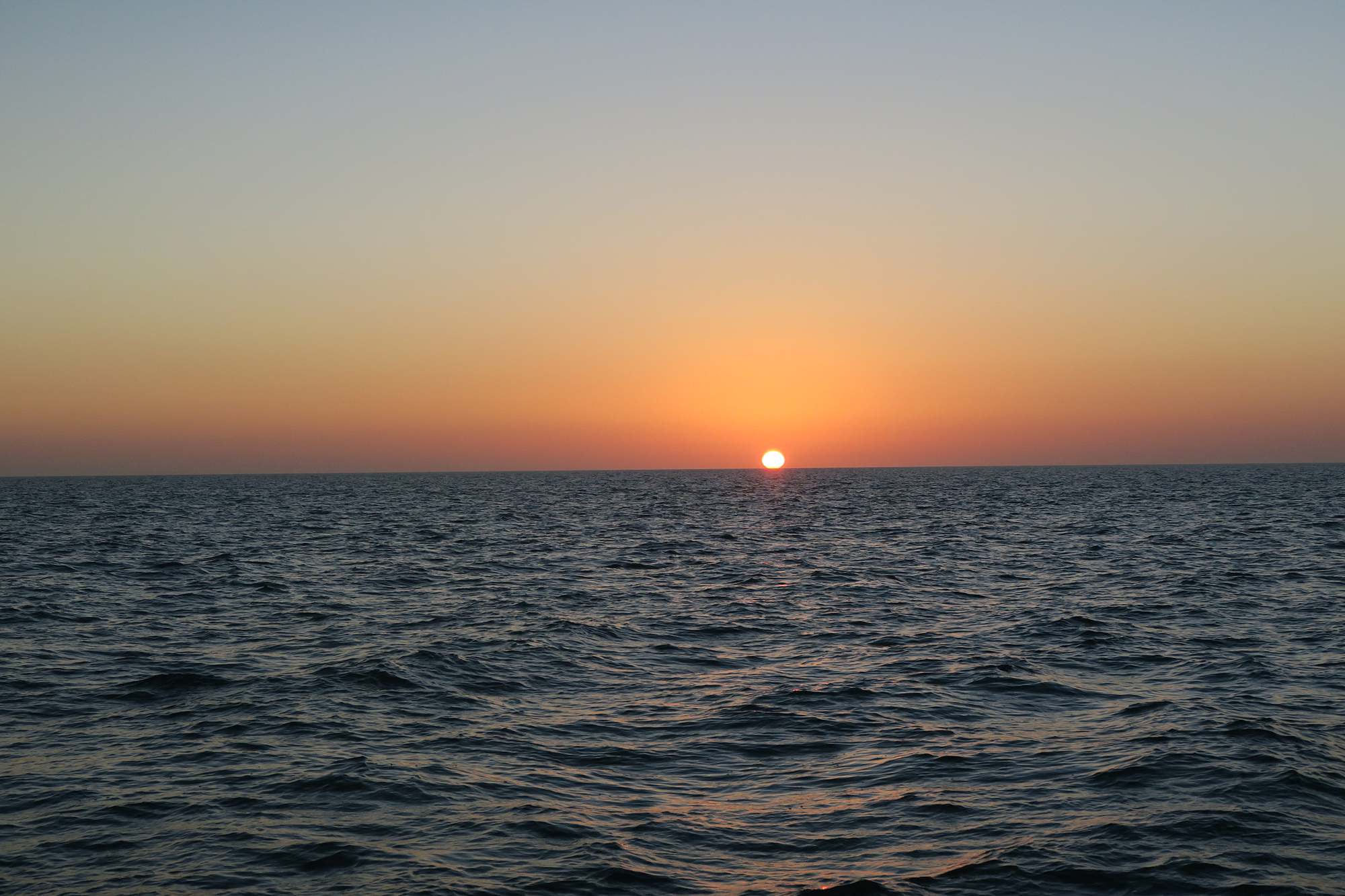 Marco Island dolphin cruise sunset cruise view