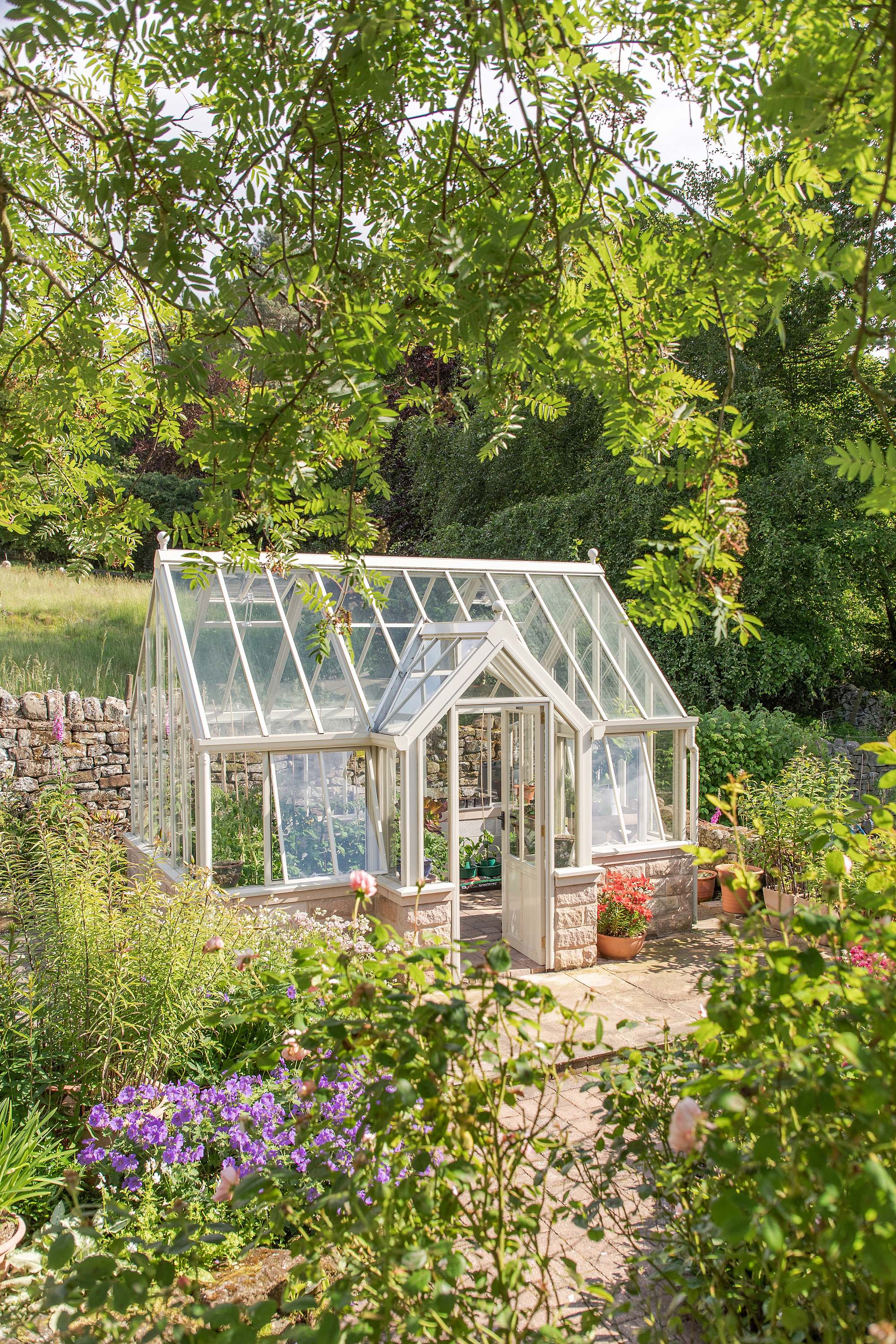 White greenhouse by natural stone - greenhouse glass house inspiration backyard and garden goals - Victorian Terrace- Derbyshire, UK 