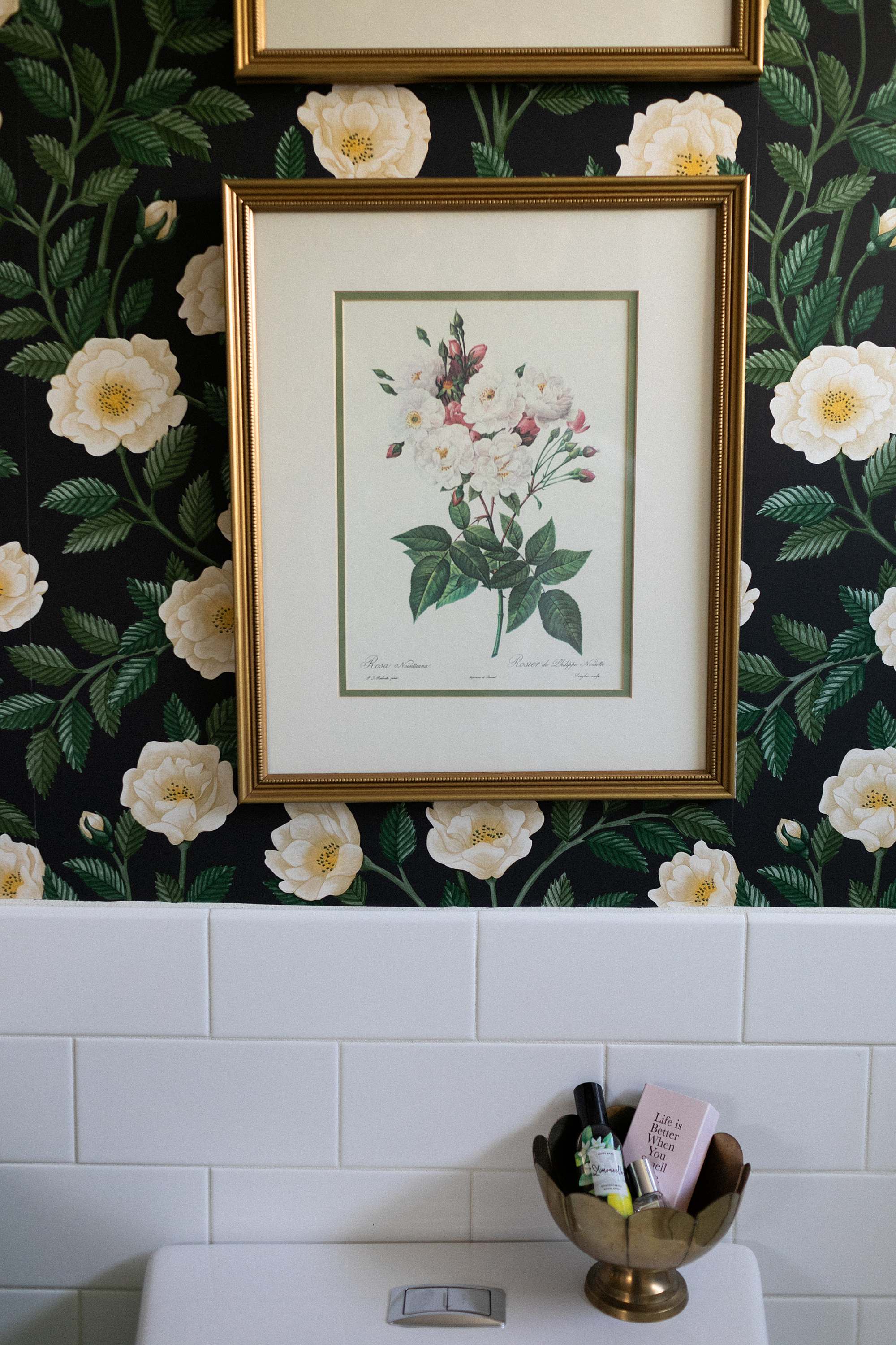 rose framed prints on Cole and son wallpaper green and white Hampton roses
