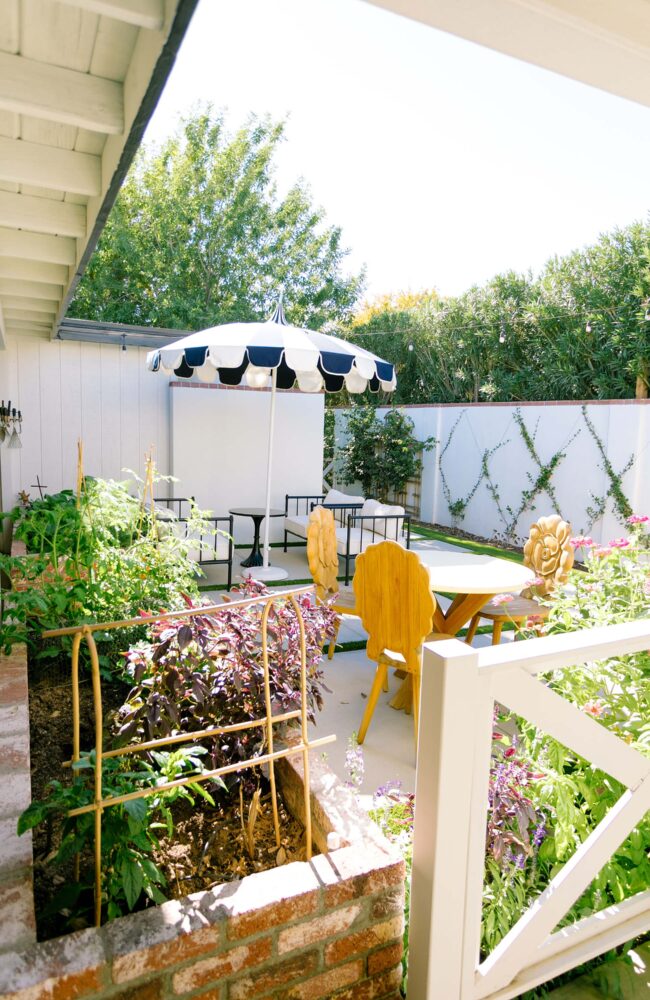 vine wall trellis idea backyard how to