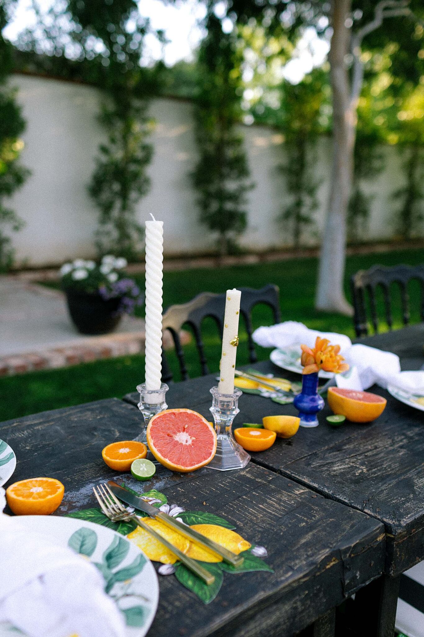 Garden party: A Citrus Food Themed Potluck - Diana Elizabeth